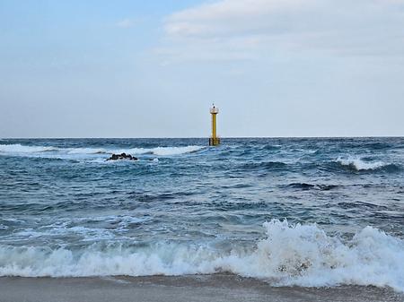 2024학년도 상명대학교 세라믹디자인전공-제주대학교 'RISE 연계 런케이션 교육 모델 발굴 교류 워크숍' 참여 이미지